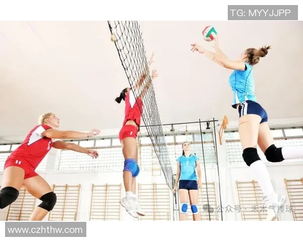 杭州排球队的耐力挑战与训练探索聚焦排球运动的未来发展